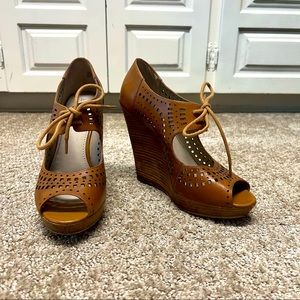 Hinge Wedges with cutouts